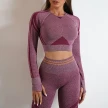 Seamless Yoga Pants Sports Gym Fitness Leggings Or Long Sleeve Tops Outfits Butt Lifting Slim Workout Sportswear Clothing