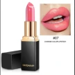 Shiny Metallic Lipstick Pearlescent Color Temperature Change Lipstick Gilt Lipstick