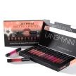 Matte Lipstick Waterproof Long-lasting Velvet Lipstick Set